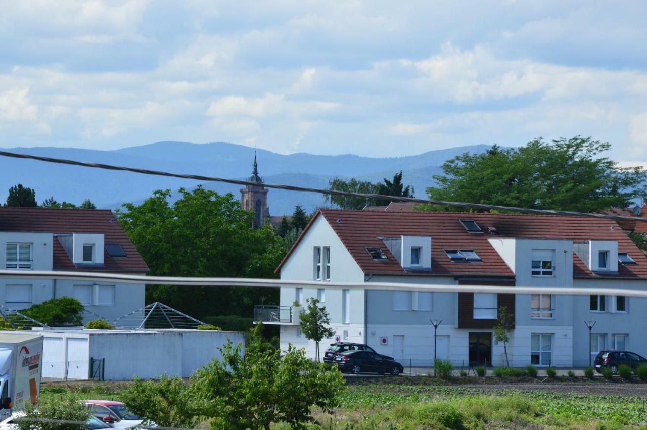 Gite Du Neuland Colmar Kültér fotó